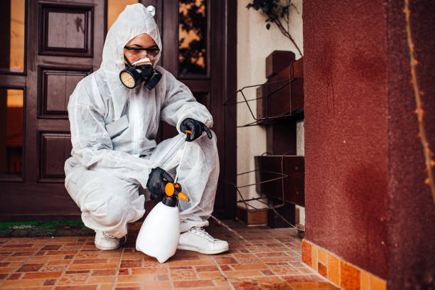 Reliable Cockroach Control contractor in Florence, AL by Nex Pest Control